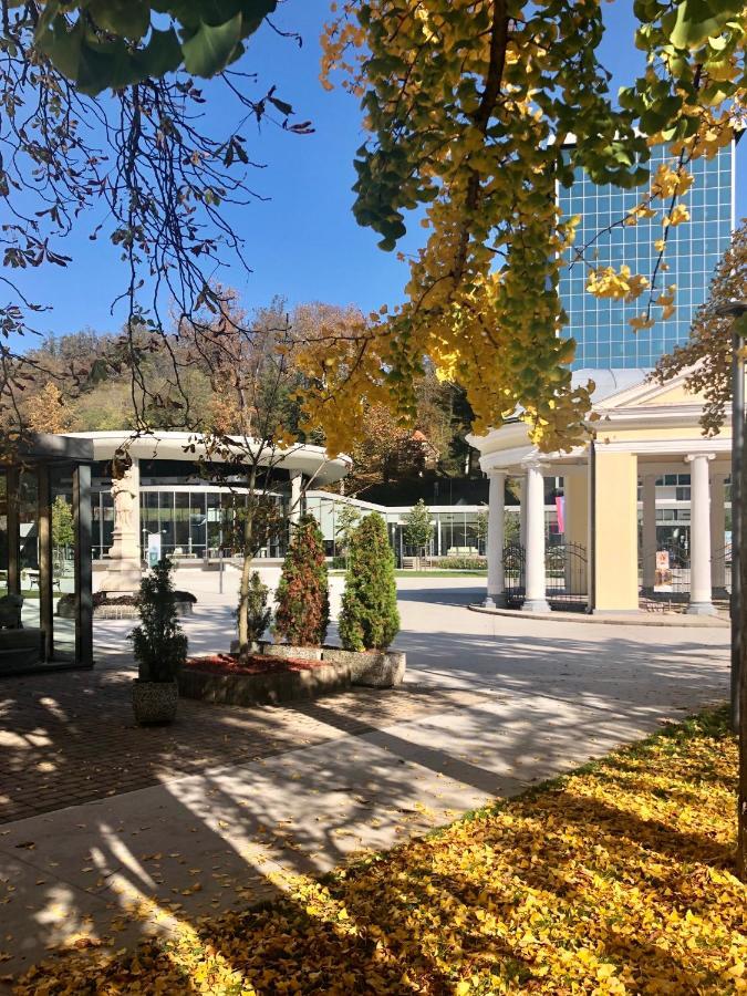 Apartment Vilapark 14 Rogaška Slatina Екстериор снимка